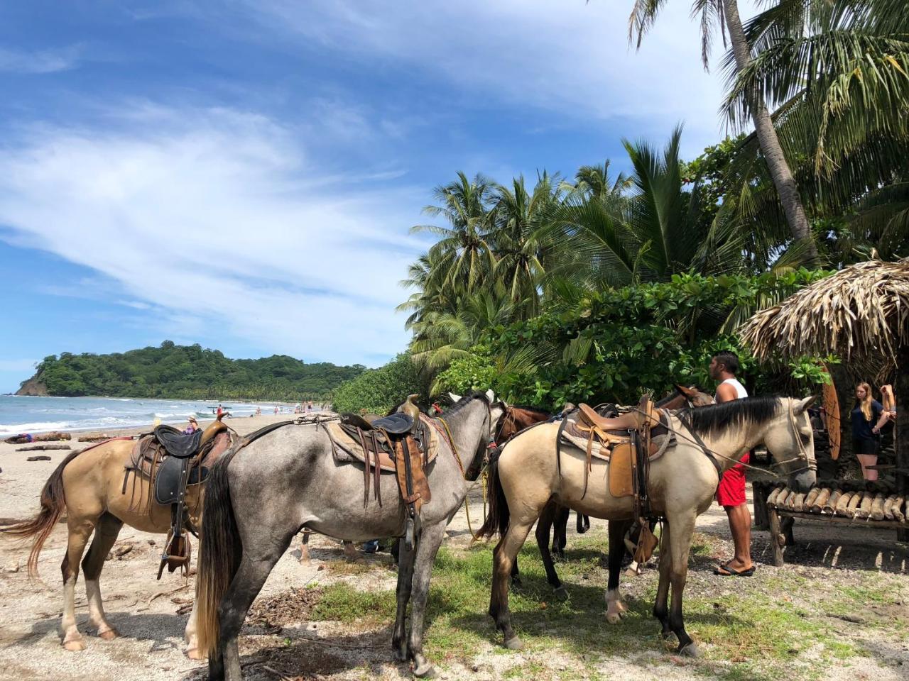 Macao Beach Sámara 外观 照片