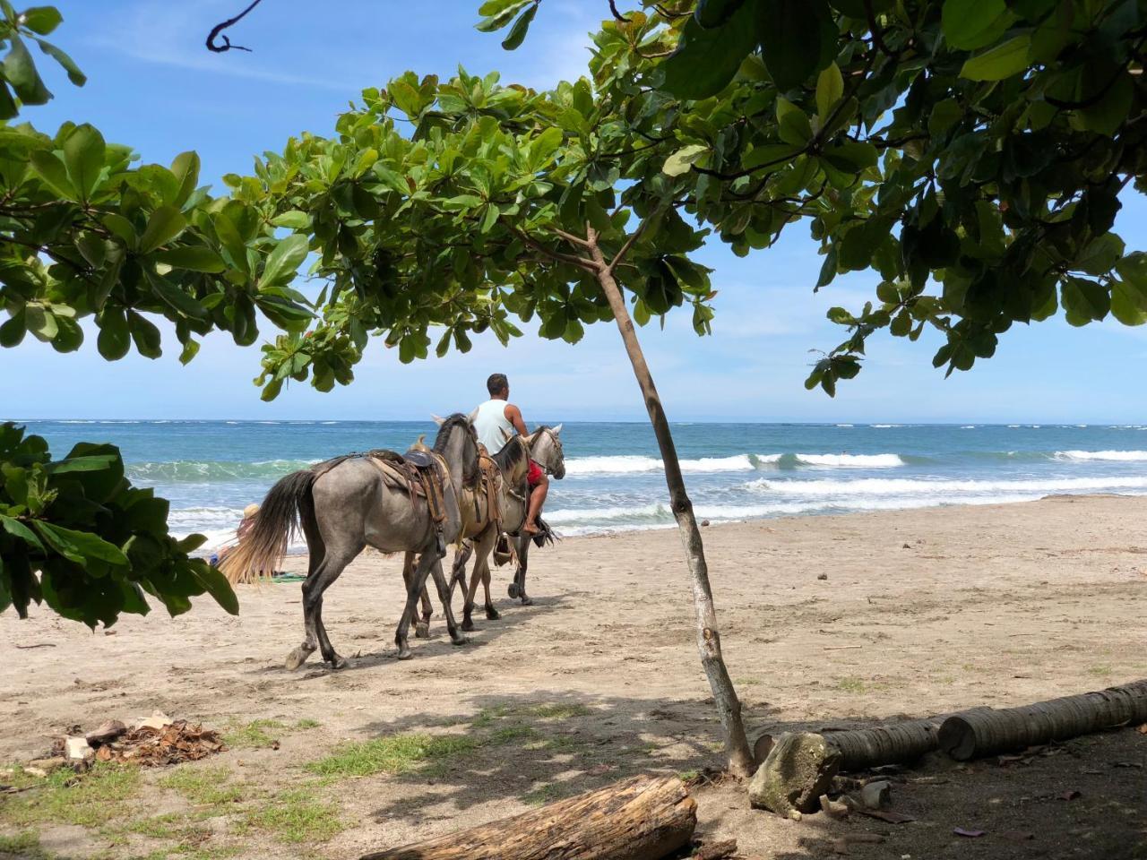 Macao Beach Sámara 外观 照片