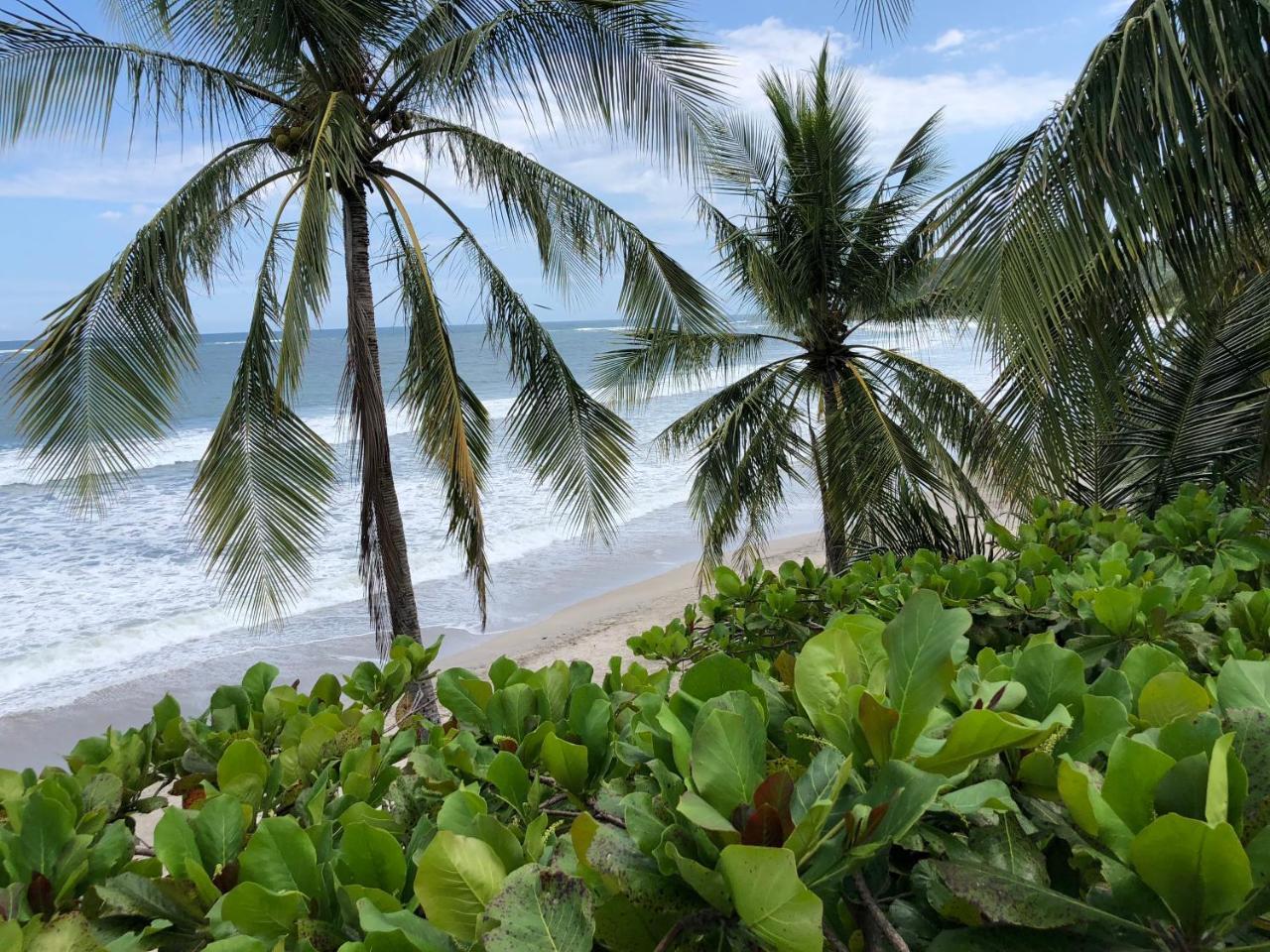 Macao Beach Sámara 外观 照片